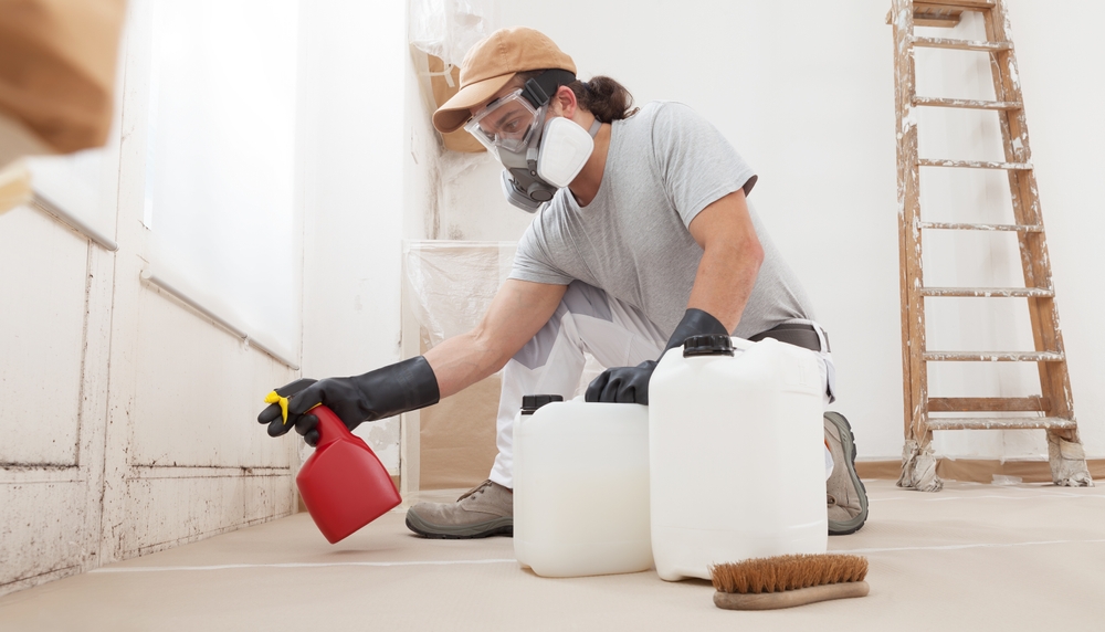 How Long Does Mold Remediation Take - mold remediation - construction contractor new orleans