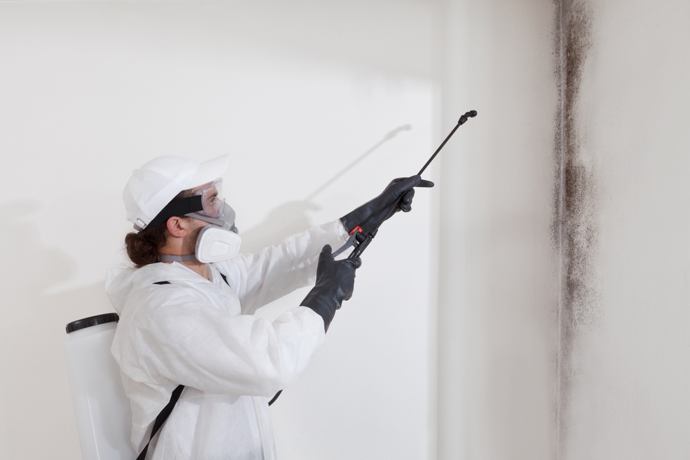 How Long Does Mold Remediation Take - mold remediation - construction contractor new orleans