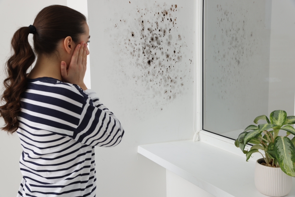 When Is Mold Remediation Required - construction contractor new orleans - nolalegacy